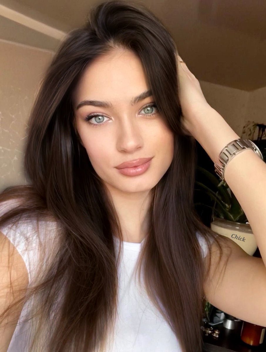 SEGOHAIR 8pcs Clip In Hair Extensions Real Human Hair Dark Brown segohair.com