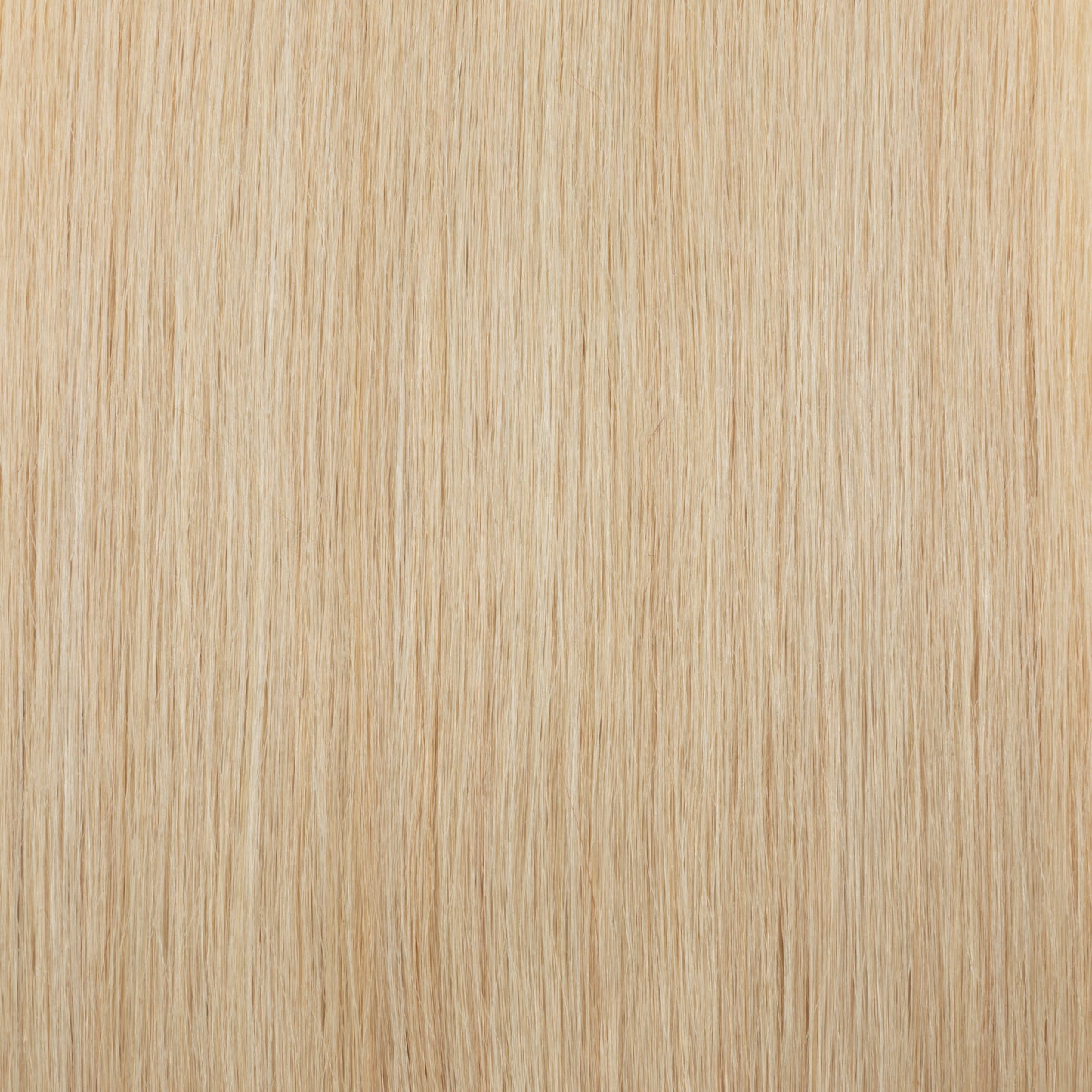 SEGOHAIR Clip In Hair Extensions Real Human Hair Light Weight Golden Blonde segohair.com