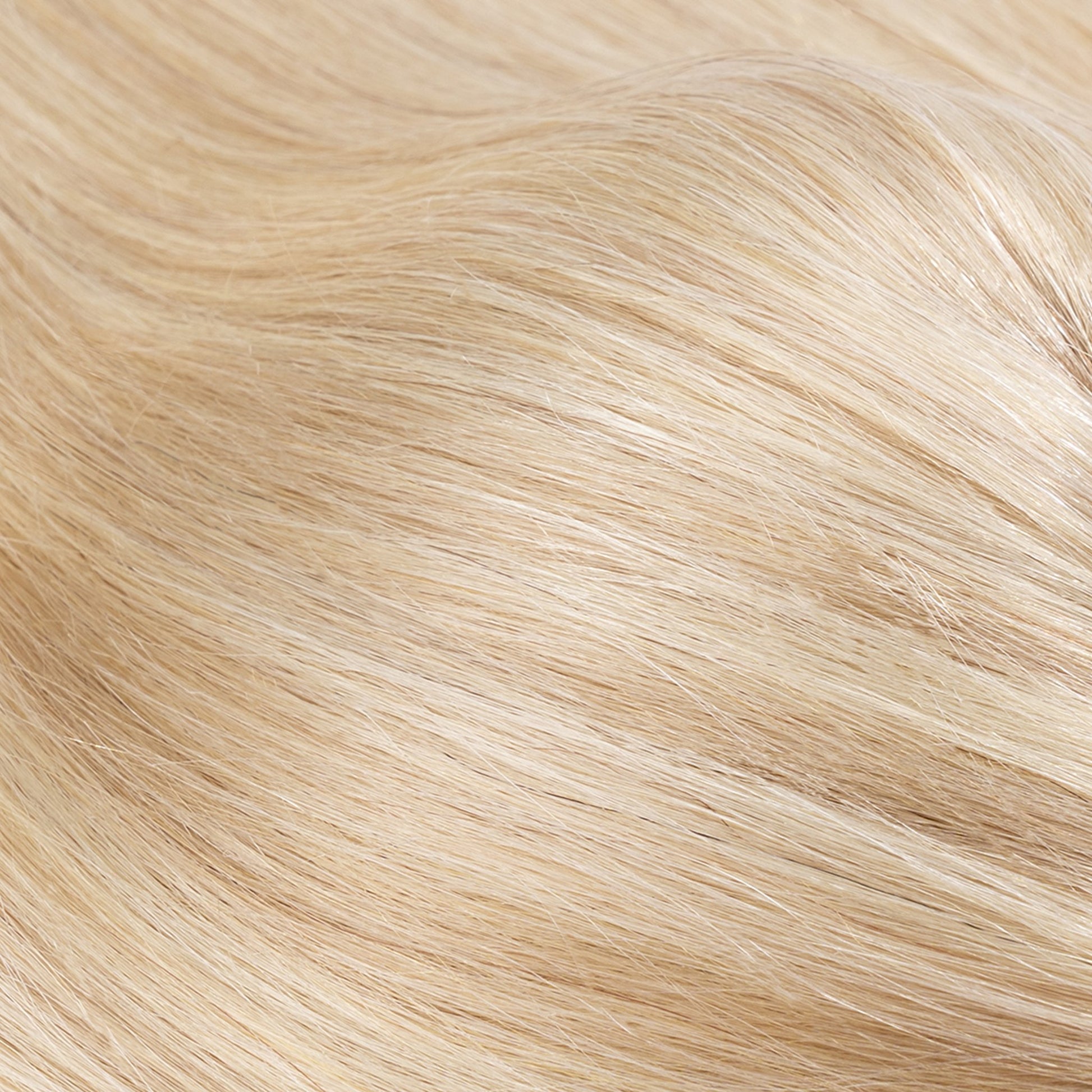 3x5" Bionic Scalp Top Ash Blonde Highlight Human Hair Topper segohair.com