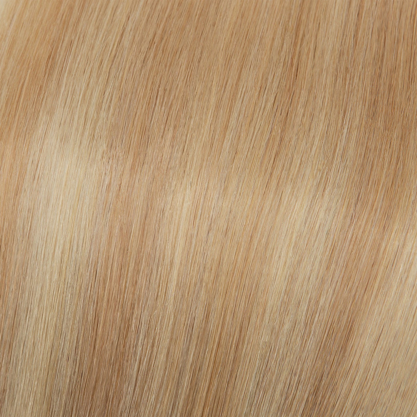 Ash Blonde Highlight Velcro Ponytail Extension segohair.com