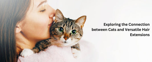 Exploring the Connection between Cats and Versatile Hair Extensions - segohair.com