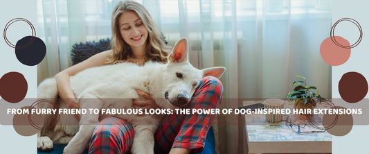 From Furry Friend to Fabulous Looks, The Power of Dog-Inspired Hair Extensions - segohair.com