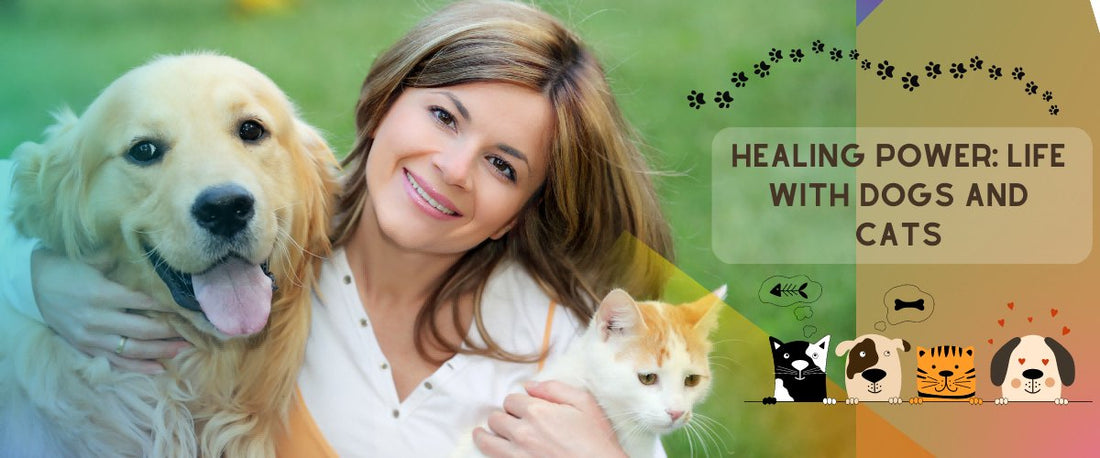 Healing power: Life with dogs and cats - segohair.com