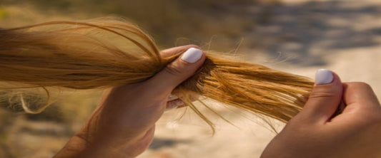 The Ultimate Frizz-Free Routine for Hairstylists - segohair.com