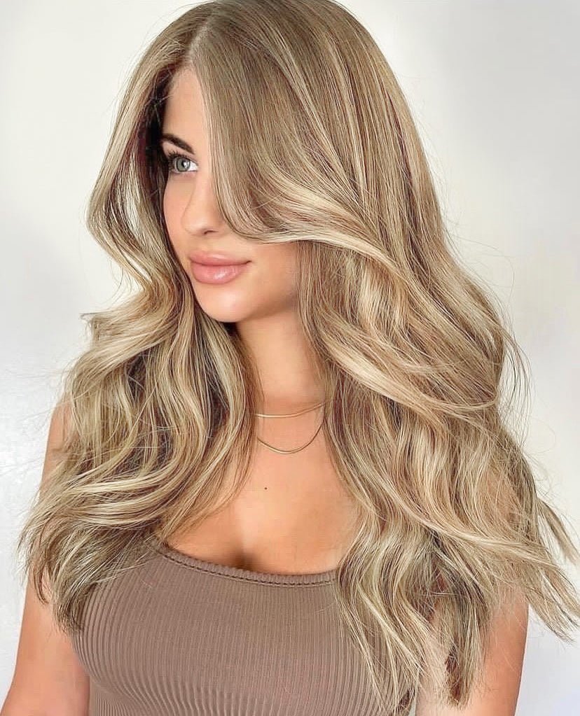 SEGOHAIR 8pcs Clip In Hair Extensions Real Human Hair Golden Brown Blonde segohair.com
