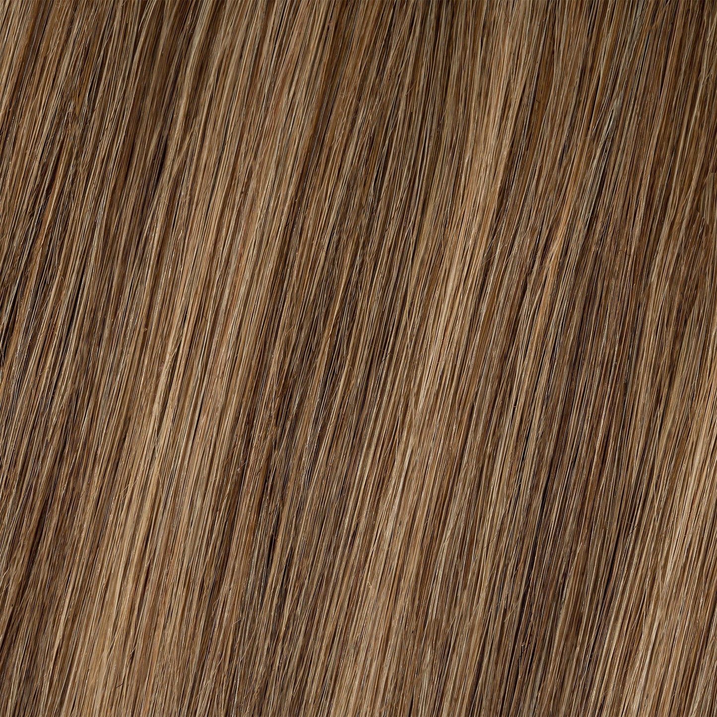Brown Honey Blonde Highlighted Thinning Hair Fill-Ins segohair.com
